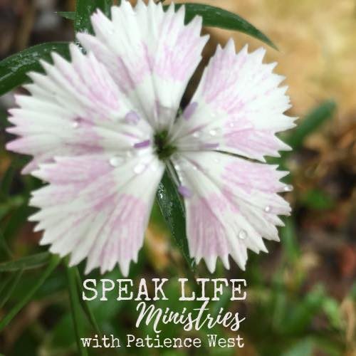 SPEAK LIFE Ministries with Patience West